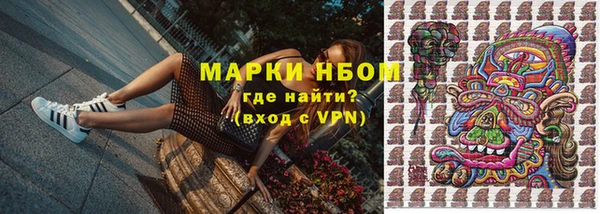 молекула духа Надым