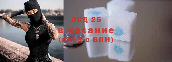 spice Белая Холуница