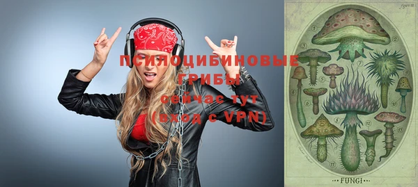 МДПВ Михайлов