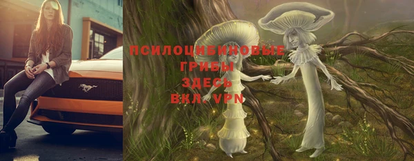молекула духа Надым