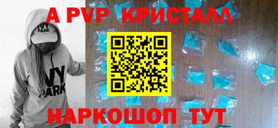 спиды Гатчина