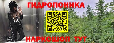 кокс Гай