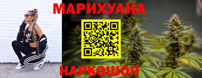 крисы Гагарин