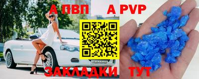 спиды Гатчина