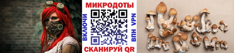 купить закладку  Казань  Галлюциногенные грибы мицелий 