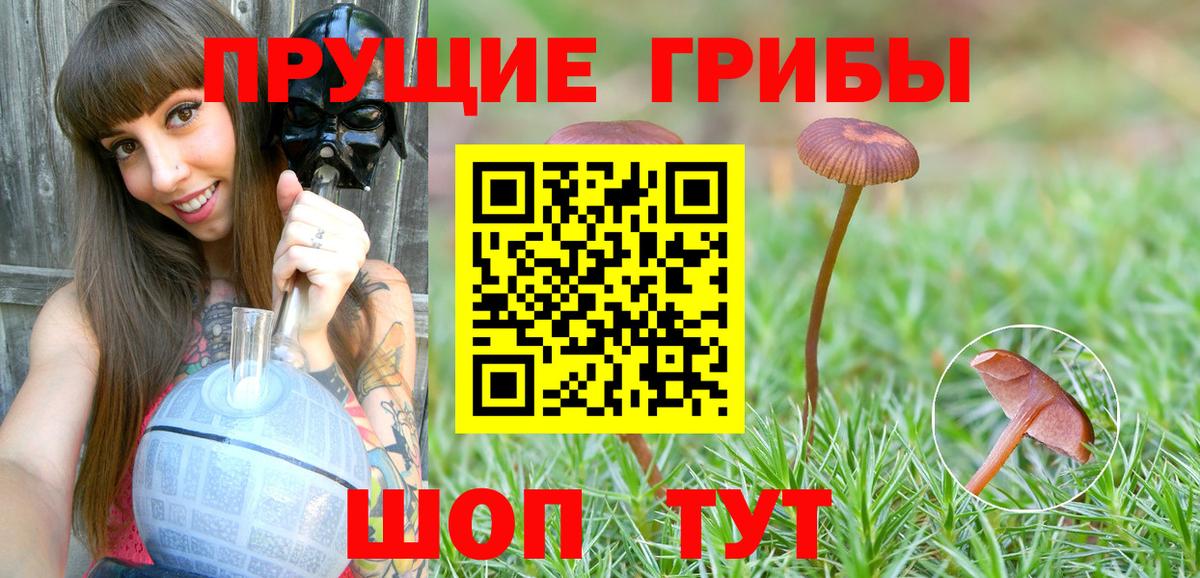 Казань  Галлюциногенные грибы GOLDEN TEACHER  Вход с VPN  Галлюциногенные грибы прущие грибы 